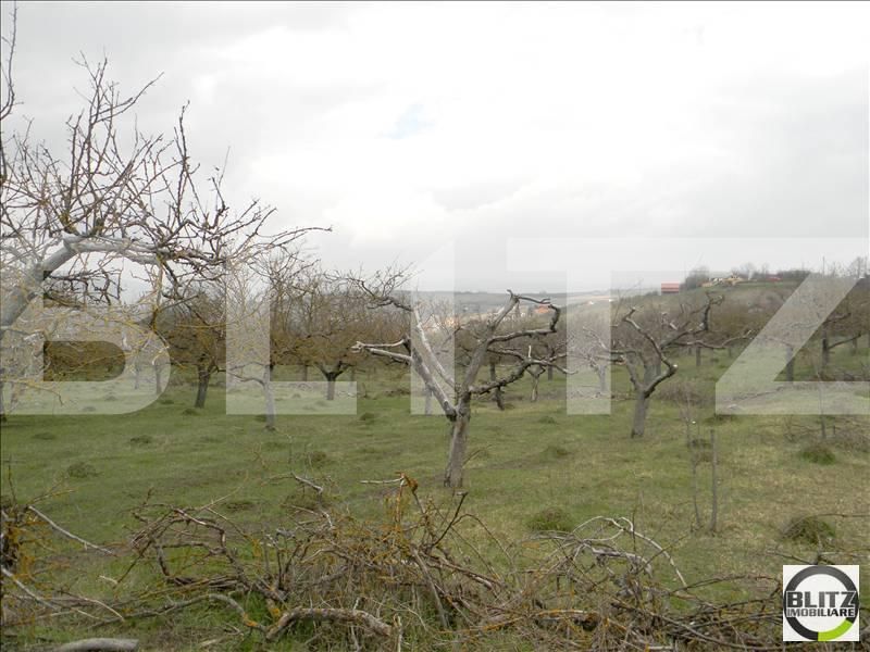 Teren de vânzare Borhanci - 22489TV | BLITZ Cluj-Napoca | Poza4