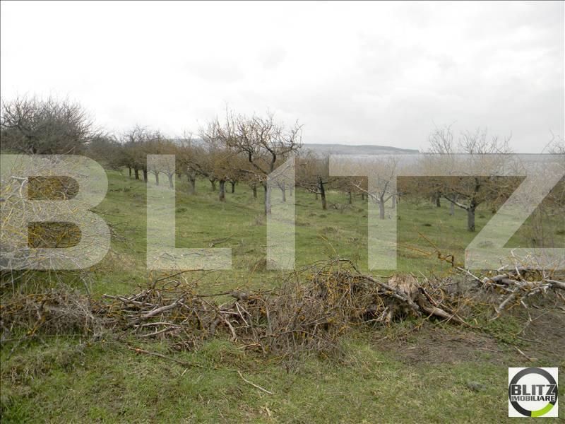 Teren de vânzare Borhanci - 22490TV | BLITZ Cluj-Napoca | Poza3