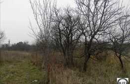 Vanzare teren in Borhanci, 511 mp cu front de 29.23 ml