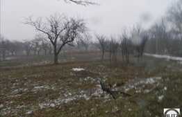 Teren de vanzare in Borhanci, 500 mp, pentru constructia unei case!