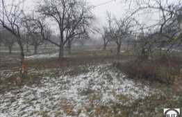 Teren de vanzare in Borhanci, 500 mp, pentru constructia unei case!