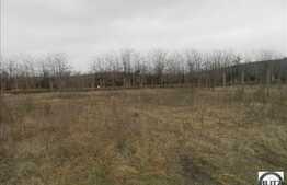 Teren de vanzare 700 mp, front 20 ml, zona Borhanci, gaz si curent la front