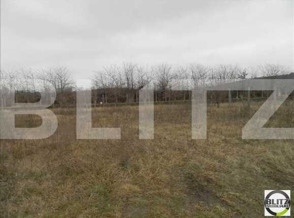 Teren de vânzare Borhanci - 22510TV | BLITZ Cluj-Napoca | Poza13