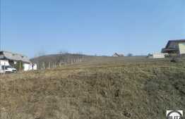 Teren de vanzare, 800 mp, cu front de 15 ml, POT 35 % CUT 0.9