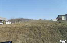 Teren de vanzare, 800 mp, cu front de 15 ml, POT 35 % CUT 0.9