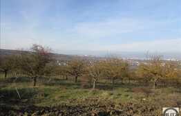 4000 mp de vanzare, cu front de 40 ml, panorama frumoasa