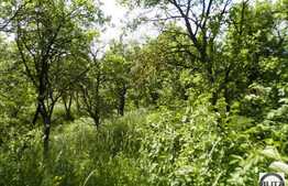 Vanzare teren 1400 mp, cu front 14 ml, toate utilitatile la front!