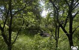 Vanzare teren 1400 mp, cu front 14 ml, toate utilitatile la front!