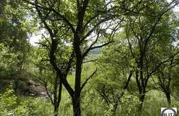 Vanzare teren 1400 mp, cu front 14 ml, toate utilitatile la front!