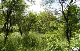 Vanzare teren 1400 mp, cu front 14 ml, toate utilitatile la front!