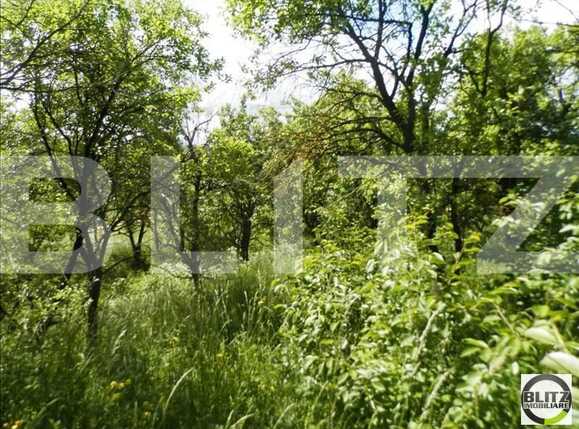 Teren de vânzare Borhanci - 22517TV | BLITZ Cluj-Napoca | Poza7