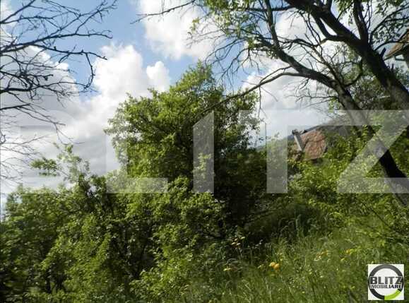 Teren de vânzare Borhanci - 22517TV | BLITZ Cluj-Napoca | Poza3