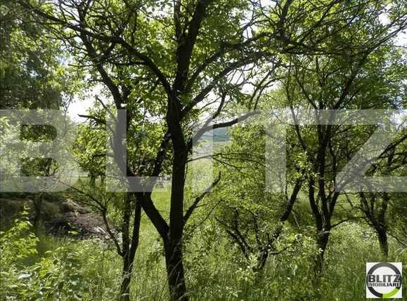 Teren de vânzare Borhanci - 22517TV | BLITZ Cluj-Napoca | Poza8