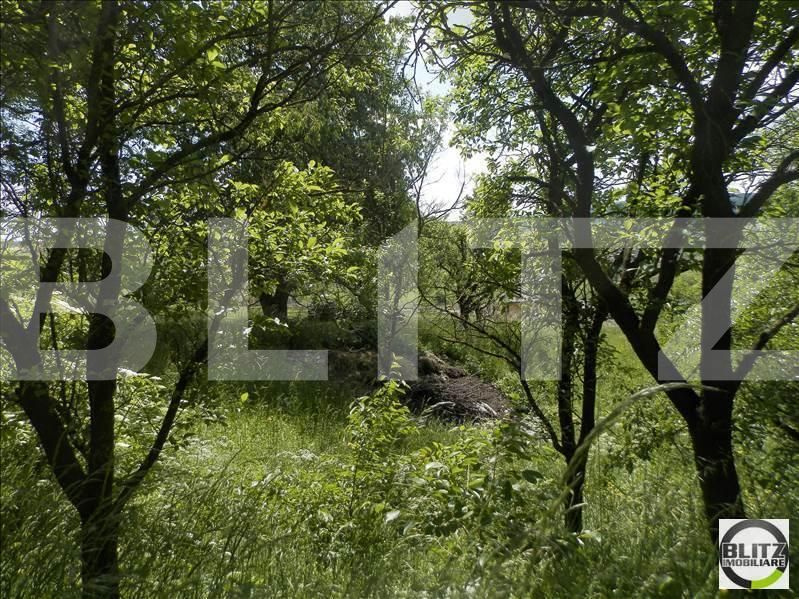 Teren de vânzare Borhanci - 22517TV | BLITZ Cluj-Napoca | Poza4