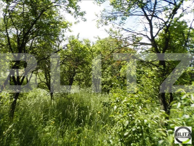 Teren de vânzare Borhanci - 22517TV | BLITZ Cluj-Napoca | Poza9