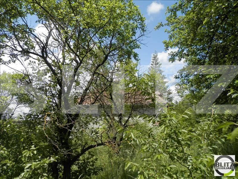 Teren de vânzare Borhanci - 22517TV | BLITZ Cluj-Napoca | Poza6