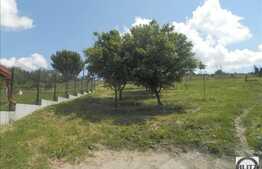 Vanzare teren 903 mp, front 11.37 ml, cu priveliste, toate utilitatile la front