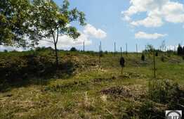 Vanzare teren 903 mp, front 11.37 ml, cu priveliste, toate utilitatile la front