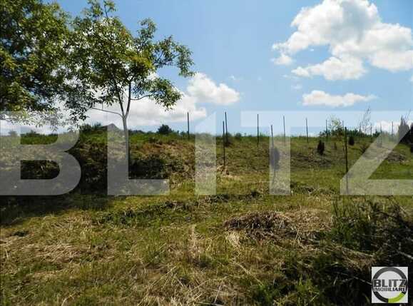 Teren de vânzare Borhanci - 22518TV | BLITZ Cluj-Napoca | Poza8