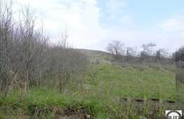 Teren de vanzare, 5800 mp, Borhanci, zona Sopor!