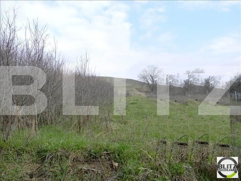 Teren de vânzare Borhanci - 22519TV | BLITZ Cluj-Napoca | Poza2