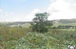 Teren 625 mp, front 25 ml, PUZ, zona de case