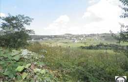 Teren 625 mp, front 25 ml, PUZ, zona de case