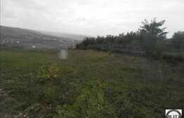 Vanzare teren cu suprafata totala de 2800 mp, cu front de 28 ml, zona Borhanci