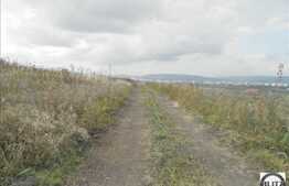 Teren de vanzare, 540 mp, front 22 ml, cu utilitati la 100 m, zona Borhanci!