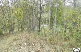 Teren de vanzare, 932 mp, cu front de 16 ml, zona Borhanci!