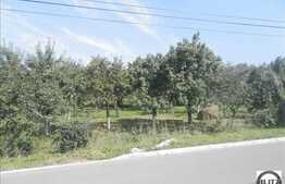 Teren de vanzare, 932 mp, cu front de 16 ml, zona Borhanci!