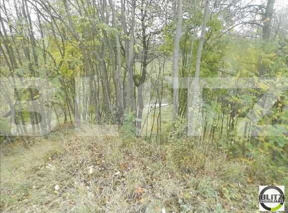 Teren de vânzare Borhanci - 22524TV | BLITZ Cluj-Napoca | Poza6