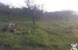 Teren 750 mp, front stradat 20 ml, zona linistita de case