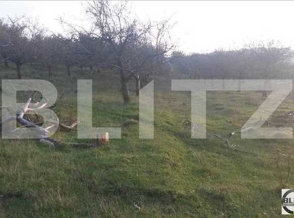 Teren de vânzare Borhanci - 22529TV | BLITZ Cluj-Napoca | Poza2