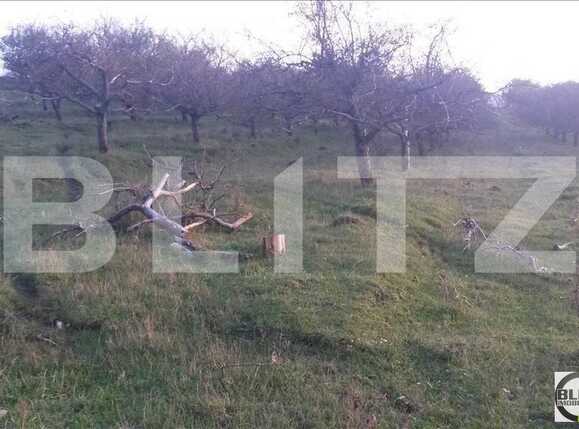 Teren de vânzare Borhanci - 22529TV | BLITZ Cluj-Napoca | Poza1