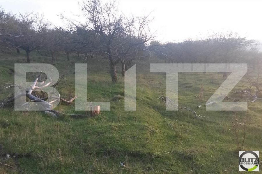 Teren de vânzare Borhanci - 22529TV | BLITZ Cluj-Napoca | Poza2