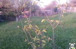 Teren de vanzare, 750 mp, front 25 ml, zona linistita de case