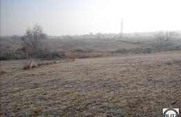 Mult soare pe 1630 mp de teren!