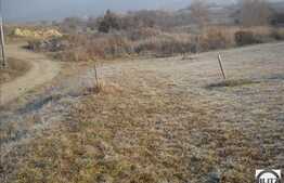 Mult soare pe 1630 mp de teren!