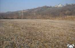 Mult soare pe 1630 mp de teren!