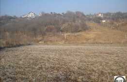 Mult soare pe 1630 mp de teren!