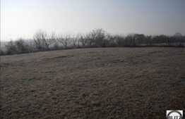 Mult soare pe 1630 mp de teren!