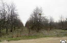 Teren 9000 mp, zona Mihai Romanu pentru ansamblu rezidential