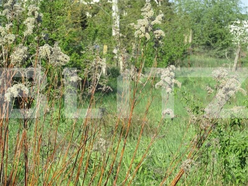 Teren de vânzare Bună Ziua - 22537TV | BLITZ Cluj-Napoca | Poza3