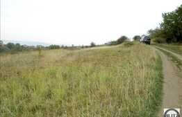 Teren de vanzare 2456 mp utili si front de 85 ml, liniste si aer curat