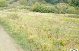 Teren de vanzare 2456 mp utili si front de 85 ml, liniste si aer curat