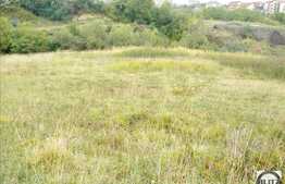 Teren de vanzare 2456 mp utili si front de 85 ml, liniste si aer curat