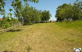 Zona Cu Multa Verdeata, Linistita , Intima ! 10 minute pana in centrul orasului!