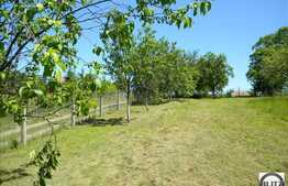 Zona Cu Multa Verdeata, Linistita , Intima ! 10 minute pana in centrul orasului!