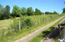 Zona Cu Multa Verdeata, Linistita , Intima ! 10 minute pana in centrul orasului!